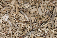biomass boilers Mulben